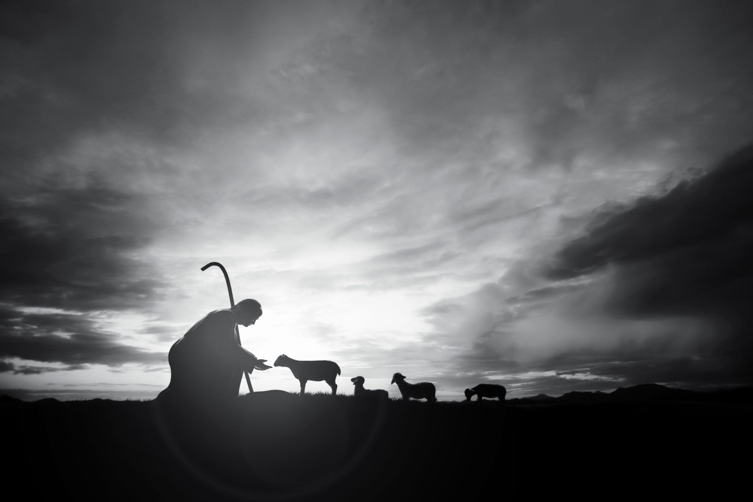 Shepher Know the Shepherd's Voice